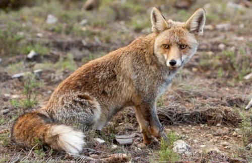 La Casa del Pan de Archivel - Foto 63