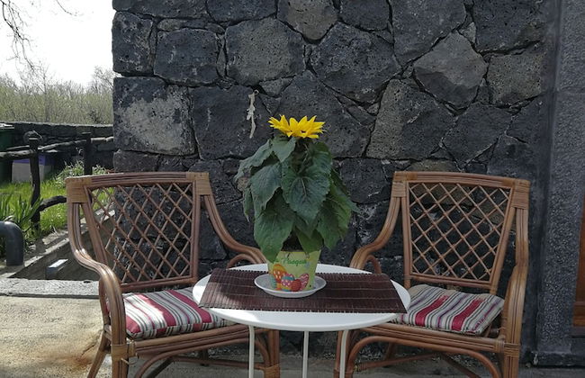 Viola nel Parco - Foto 78