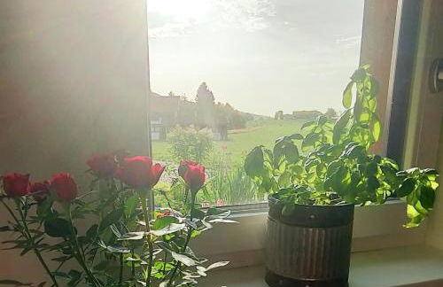 Ferienwohnung Werner - Foto 17