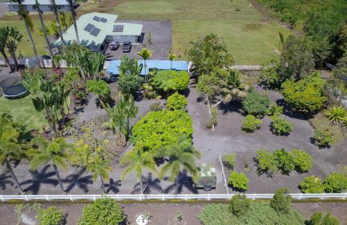 Tropical Retreat GuestHouse - Foto 17