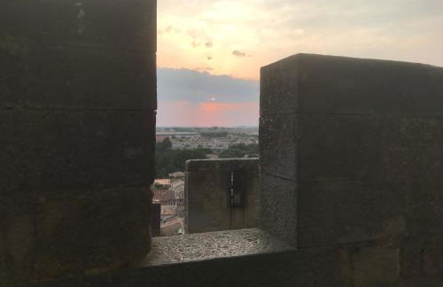 Le Clos Saint Michel - Foto 24