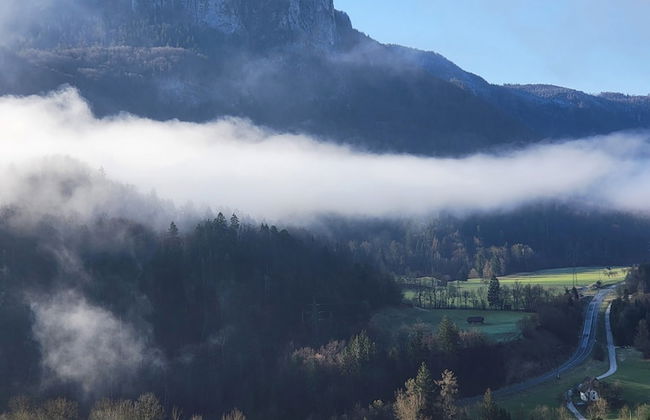 Bella Bela Apartments - Foto 11