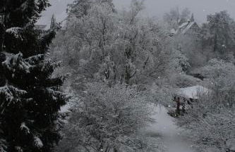 FeWo - Wohlfühlambiente & Gartenparadies - Foto 37