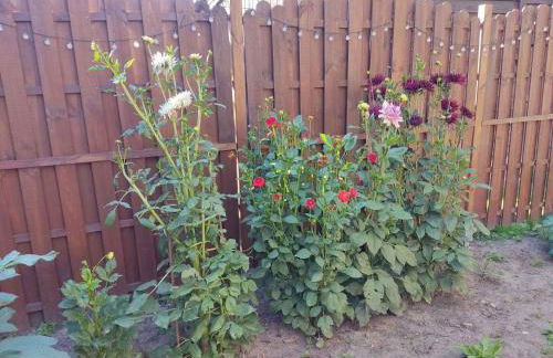 Apartment in Ribnitz-Damgarten 35179 - Foto 8