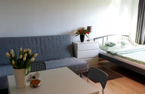 Zielone Zacisze - Foto 36