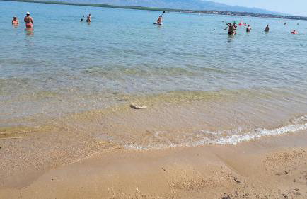 Iris Sabunike - Photo 58