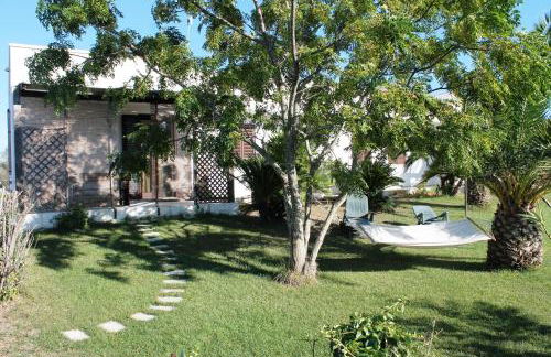 Vecchio Ulivo - Foto 26