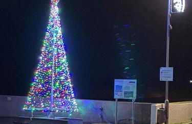 Driftwood - Photo 10