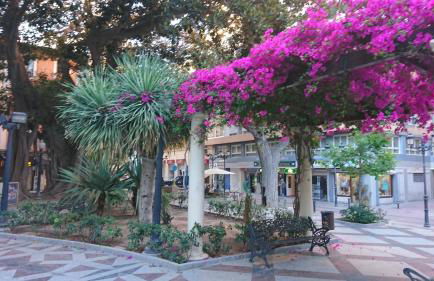 Cerca playa-AA-Patio privado - Photo 48