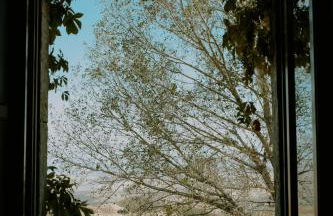 Abbazia Santa Maria del Bosco - Photo 133