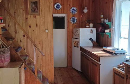 Wilga - urokliwy dom z bala (50 km od Warszawy) - Foto 9