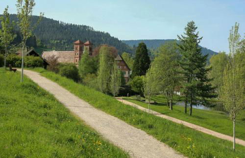 Design House In Black Forest Near Baiersbronn - Photo 26