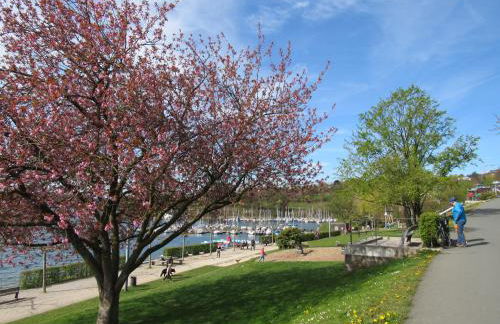 Wohnung für Liebhaber - gerne auch mit Kindern - Foto 25
