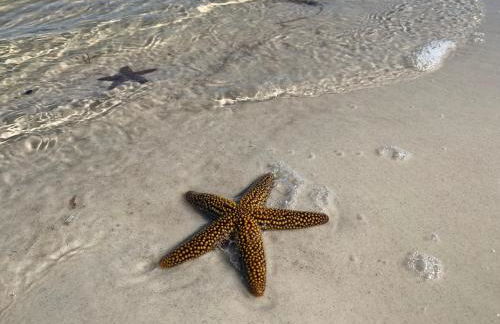 Sea Salt Vacation Home, Private Pool - Walk to Beach - Foto 54