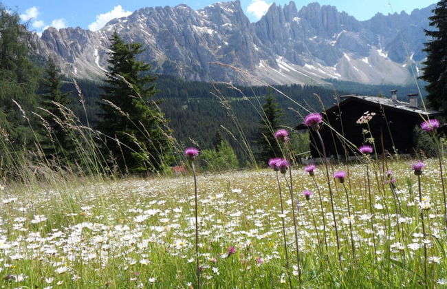 Akelei Comfortable Holiday Residence - Foto 17