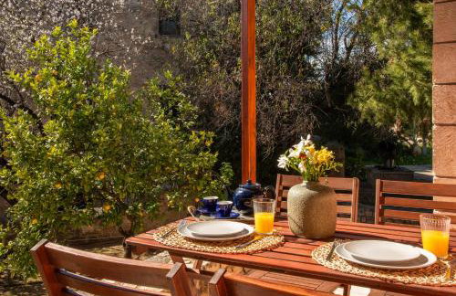 PYRGOS RALLI ESTATE Guesthouse - Foto 74