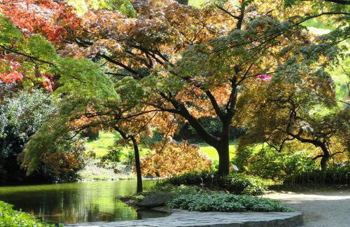 Bellagio Ghisallo Penthouse - Foto 15