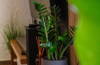 Mare Apartment Costal Gem - Foto 8