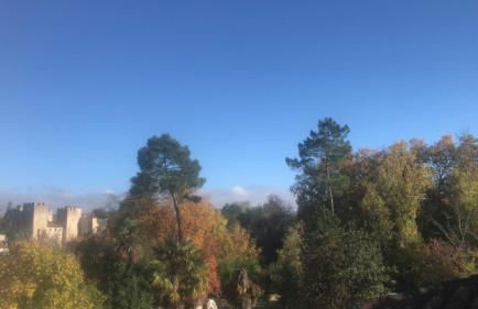 Maison de campagne - Foto 10