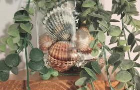 Appartement vue exceptionnelle sur les canaux - Foto 14