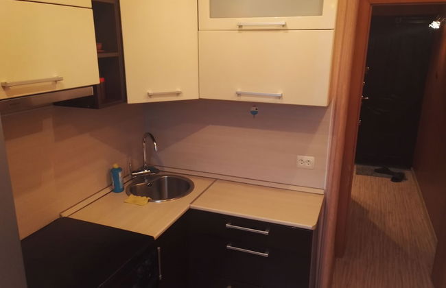 Apartments on Tolstogo 1 - Photo 32