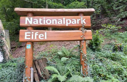 ZusammenZeit in Schleiden - inklusive Garage, großer Terrasse und 3 Schlafzimmer - ideal für Familien und Freunde - Hunde freundlich - Foto 44