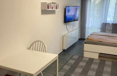 Ganze Apartment in Saarbrücken City - Foto 30