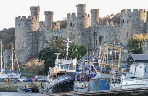 Gwern Borter Manor - Photo 57