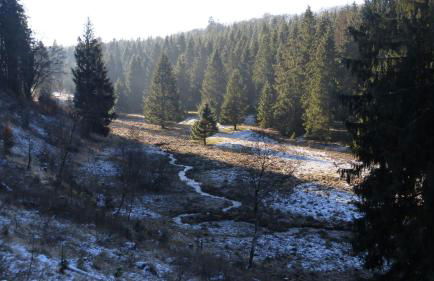 Ferienhaus Broche - Foto 19