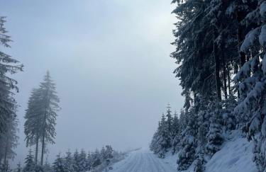 Ferienwohnung Ruppbergblick - Foto 16