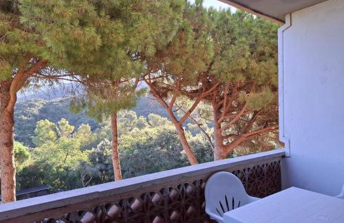 Residence Napoleon - MV - Foto 10