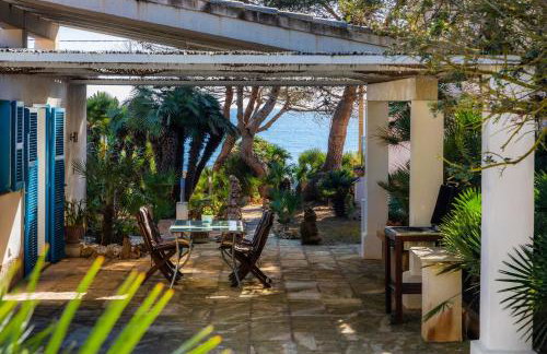 Finca Es Carregador - Photo 23