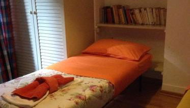 Le palme Antonella - Foto 4