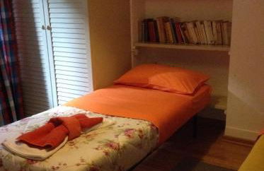 Le palme Antonella - Foto 4