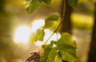 Ostoja Rakówiec - Foto 38