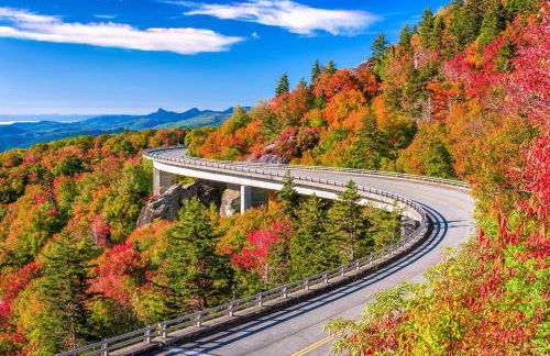 Cool Springs Manor - Foto 6