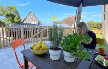 Winnica Bursztynowa - Foto 32