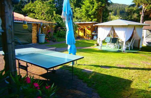 Der Frühe Vogel - Foto 17