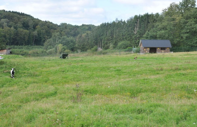 Cozy, Wooden Chalet With Deck, Near Durbuy - Foto 14