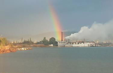 Malama's House - Photo 22