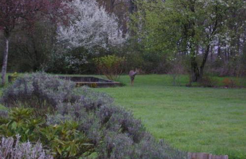 Holiday Home in Chilleurs near Château - Foto 38