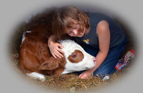 Ferienhof Off - Foto 10