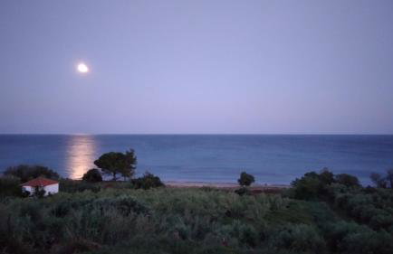 Margarita House - Photo 80