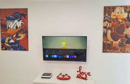 Spring Studio - Foto 21