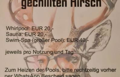 Waldhaus zum gechillten Hirsch in der Natur, bei der Moseltherme Traben-Trarbach - Foto 54