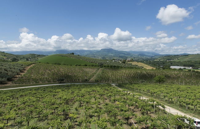 Masseria Ciavolich - Foto 37