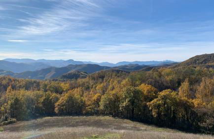 Ca' Inua - arte, bosco, ospitalità - Photo 13