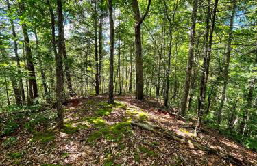 Tiny House, WIFI,Hot tub,Secluded - Foto 22