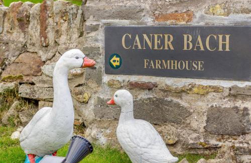 Caner Bach Lodge - Foto 52