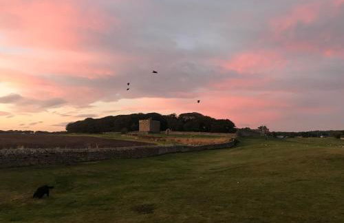 Luxury Caravan Cresswell - Photo 9